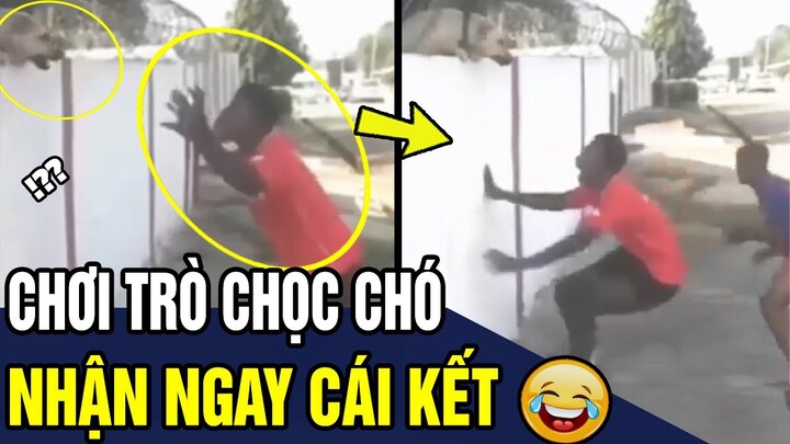 Cười Rớt Hàm Với Cảnh Thanh Niên CHỌC CHÓ Và Nhận Ngay Cái Kết Bất Ngờ