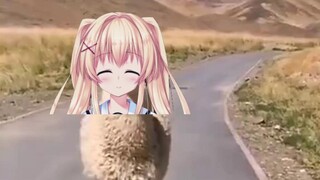 Camel is a man of few words, just me