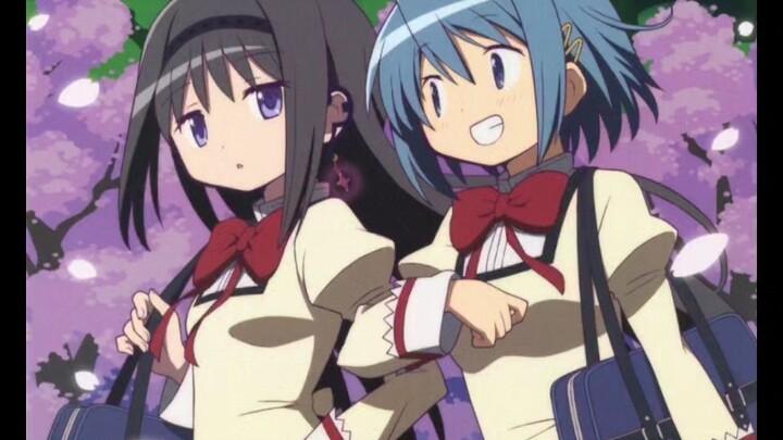 [ Puella Magi Madoka Magica ] Sayaka and Homura Akemi's blue and black cult