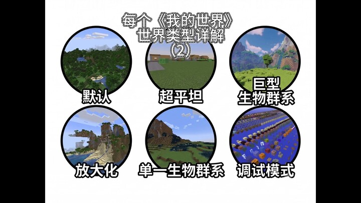 A Detailed Guide to Every Minecraft World Type (Part 2)