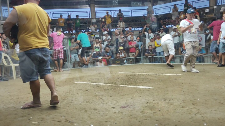 naka chamba Ang tinola line