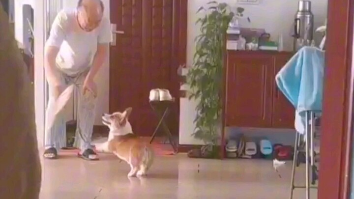 Selama beberapa dekade ke depan, aku bakal bertahan hidup berkat video ini!