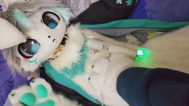 The Everyday Life of a Sauna Room