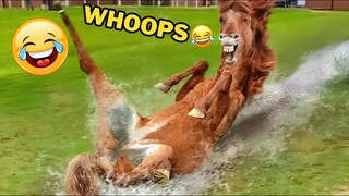 Funniest Animal Videos 2023😅 Best Funny Cats & Dogs Videos🥰7