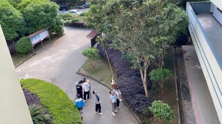 Mereka benar-benar tidak takut aku mencuri loquat dari kelas sains sebelah