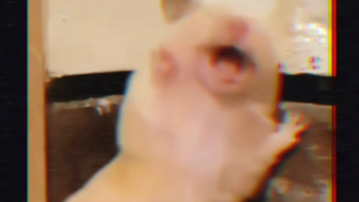 【NCT DREAM/Park Ji Sung】Tôi và sáu người anh trai đáng ghét của tôi (giả dạng ngôi thứ nhất, khuyến 