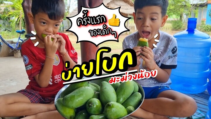 EP502บักม่วงน้อยบ่ายโบก เด็กๆชอบมาก