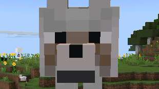 how to make an enter block in minecraft 😀