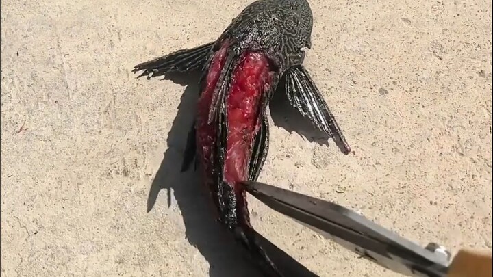 Cleaner: Holy crap, I’m being hunted down the whole way!