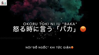 luyện nghe,luyện nói tiếng nhật バカ đồ ngốc-baka-mắng ai đó tuỳ theo tâm trạng 😚