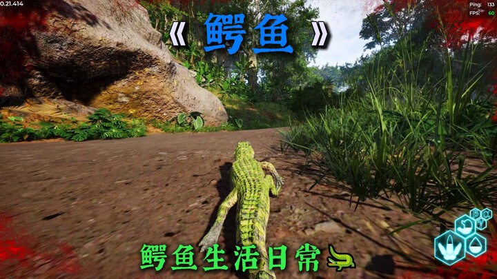Still just the daily life of a crocodile.