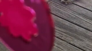 الطائر الصغير: شكراً لفروة الكلب التي منحتها لي الطبيعة!
