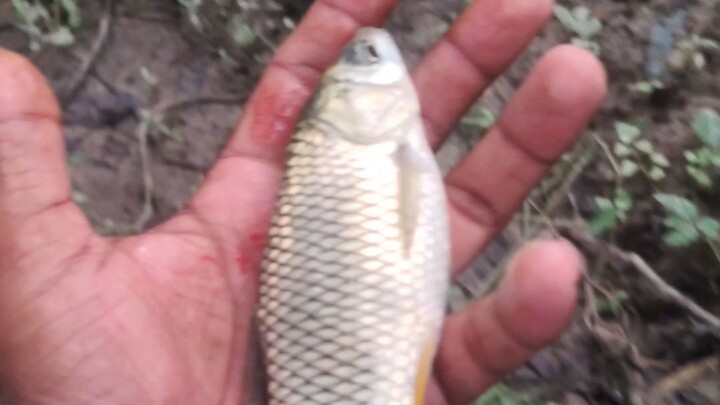 দৃষ্টিকে  #foryou