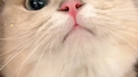 “ช่วยแท็กสาวน่ารักที่สุดในโลกมาดูหน่อย”