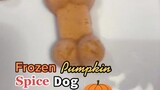 Would your dogs go crazy for these? 🎃 🐶 LearnOnTikTok pumpkinspice psl dogs dogrecipes