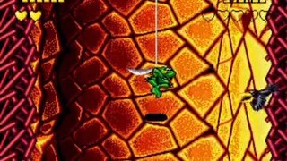 Nostalgia Maen Game Kodok 🐸 (BATTLETOADS)