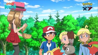 pokemon xy 52 (236) h