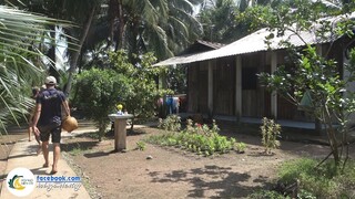 Về Vườn Anh Lực Mò Tôm Càng Nấu Đậu Rồng | Hội Ngộ Miền Tây #483