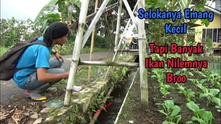 Mancing di Selokan Pinggir Jalan Ini Banyak Banget Ikan Melemnya Broo