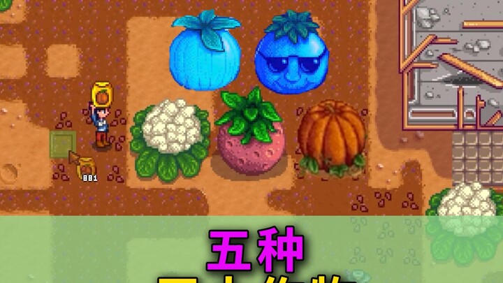 [Stardew Valley 1.6] Five Types of Giant Crops