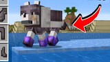 Minecraft Cold Knowledge: Wolves can actually wear Metal Gear? (not the title party)