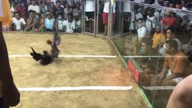 sayaw sayaw