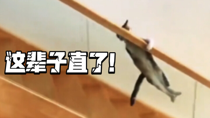 เหมียวอู๋: คุณไม่ได้บอกเธอว่าฉันทำท่าหลังหักได้เหรอ?