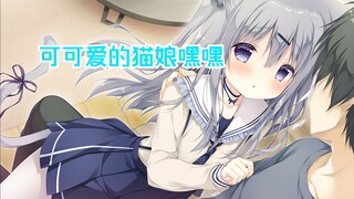 猫娘可可爱的猫娘嘿嘿