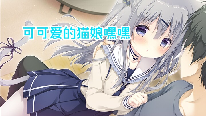 猫娘可可爱的猫娘嘿嘿