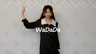 This dance will make your back ache and legs cramp! kep1er【WaDaDa】cover dance