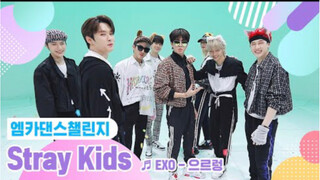 Stray kids表演可爱版 EXO 咆哮！！！全员萌翻