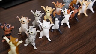 Thể dục trên đài phát thanh quốc gia về mèo lần thứ 8 [Stop Motion Animation]