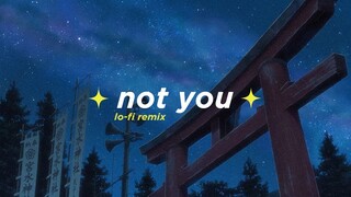 Alan Walker x Emma Steinbakken - Not You (Alphasvara Lo-Fi Remix)