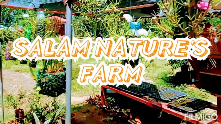 time lapse#hyperlapse