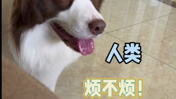 Yuzai: “You suckers, stop messing around, okay?”