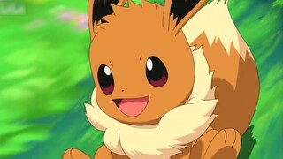 Sun and Moon are here! Will Koharu and Ibrahimovic choose them?