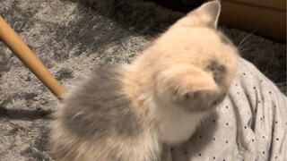 لماذا تضع صورتي وأنا صغير؟ ألا تحترم مشاعري؟