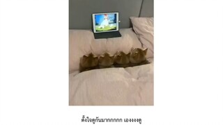 อยากกอดดด