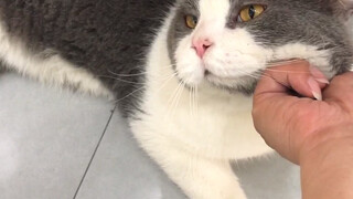 ทุกวันไปนั่งเย็นๆ ในร้านคนอื่น