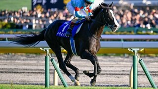 [การแข่งม้า/อีควิน็อกซ์] รุ่นที่ 22 แข็งแกร่งที่สุด นี่คือวีรบุรุษที่แข็งแกร่งที่สุดในโลก!