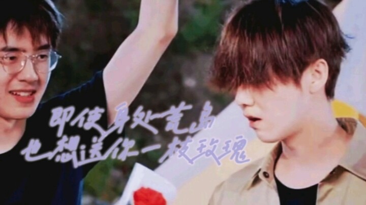 【Lu Han × Liu Haoran】Meski berada di pulau terpencil, aku tetap ingin memberimu sebatang mawar
