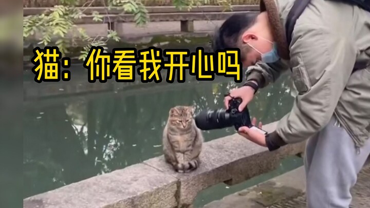 猫：我一直活在它的阴影之下
