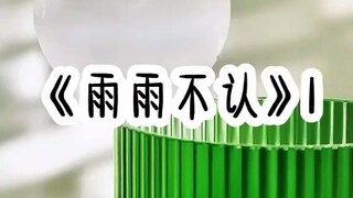 雨雨不认