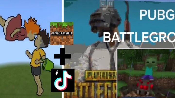 Những video Tik Tok hay và thú vị nhất về tựa game Minecraft phần 8