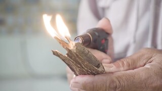 每1kg“一级沉香木”价格高达69万人民币，沉香木为什么这么贵？