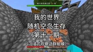 【我的世界】随机空岛生存，第十一期蛤蟆大战凋零风暴