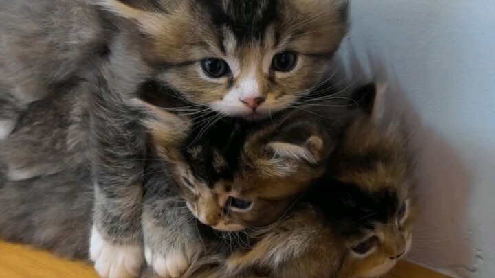 I just don’t want to go to work!