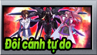 [Rô bốt Gundam AMV / Destin] Đôi cánh tự do, 1 trong những Rô bốt Gundam mạnh nhất!
