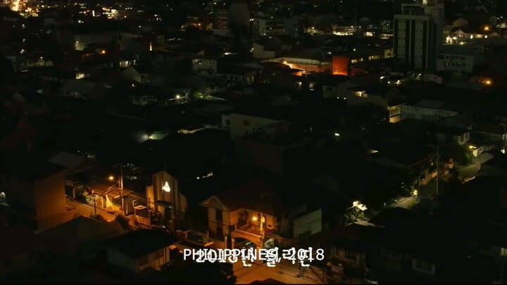 The Roundup: Punishment (2024)