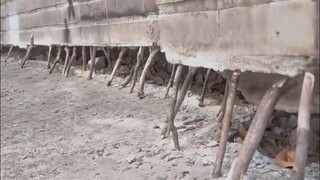 Many years of merit, destroyed in an instant